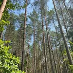 Palma De Masuria Ekskluzywny Dom Na Wyłączność Dom wakacyjny Sniadowo (Warmian-Masurian)