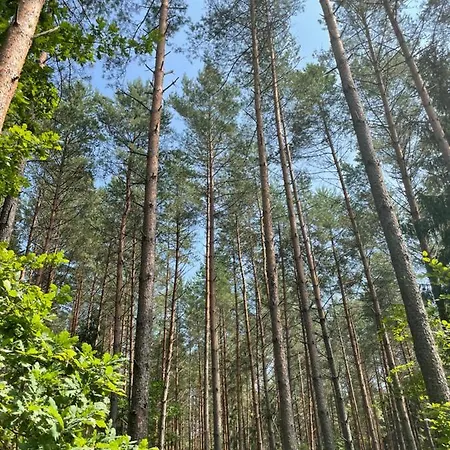 Palma De Masuria Ekskluzywny Dom Na Wyłączność Dom wakacyjny Sniadowo (Warmian-Masurian)