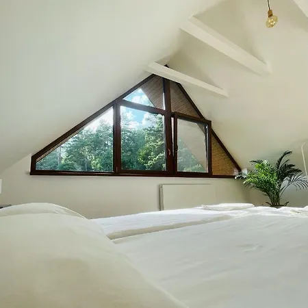 Dom wakacyjny Palma De Masuria Ekskluzywny Dom Na Wyłączność *