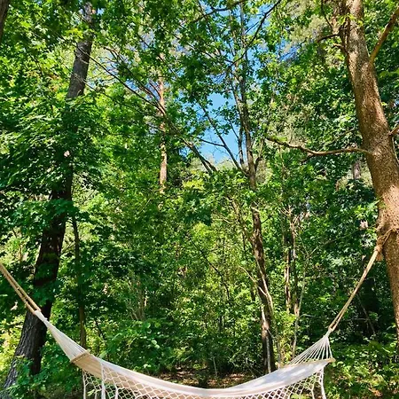 Palma De Masuria Ekskluzywny Dom Na Wylacznosc 別荘