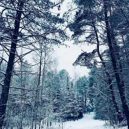 Palma De Masuria Ekskluzywny Dom Na Wyłączność Dom wakacyjny *